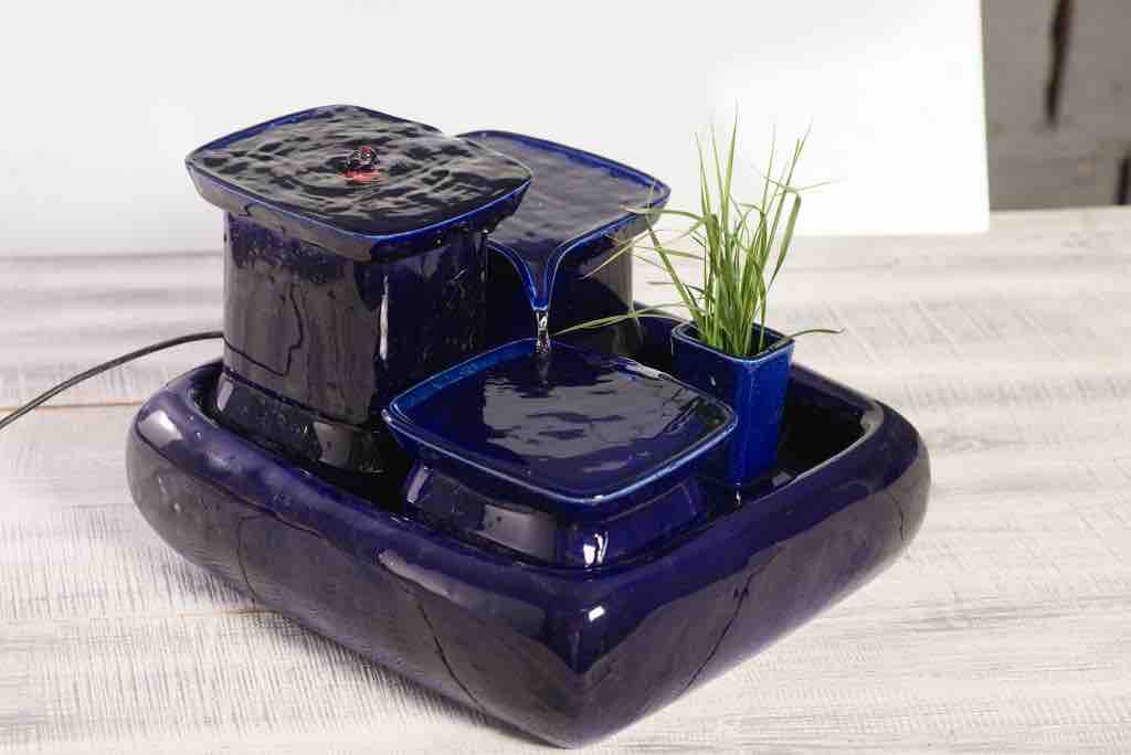 Blau Katzengrasvase+Katzengrasssamen+Bio Erde – Bild 2