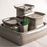 Grau Katzengrasvase+Katzengrasssamen+Bio Erde