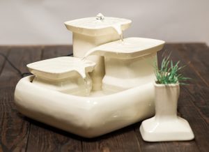 Milchfarben Katzengrasvase+Katzengrasssamen+Bio Erde