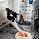 Miaustore Cat Food (Monthly)