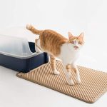 Katzenstreumatte - Beige