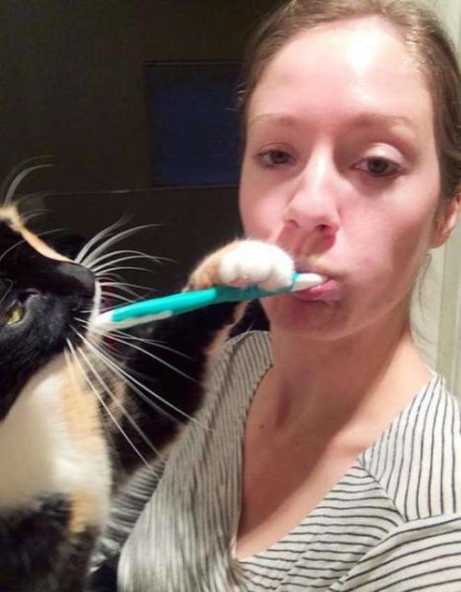 "Privatsphäre" mit Katzen 3