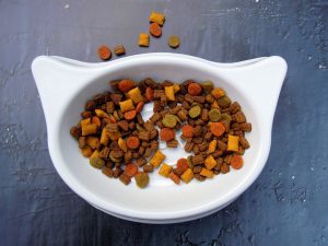 Gründe & Probleme von geringer Wasseraufnahme bei Katzen 3