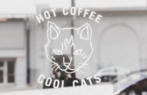 Kalte Ohren bei Katzen