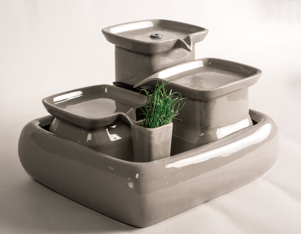 Grau Katzengrasvase+Katzengrasssamen+Bio Erde