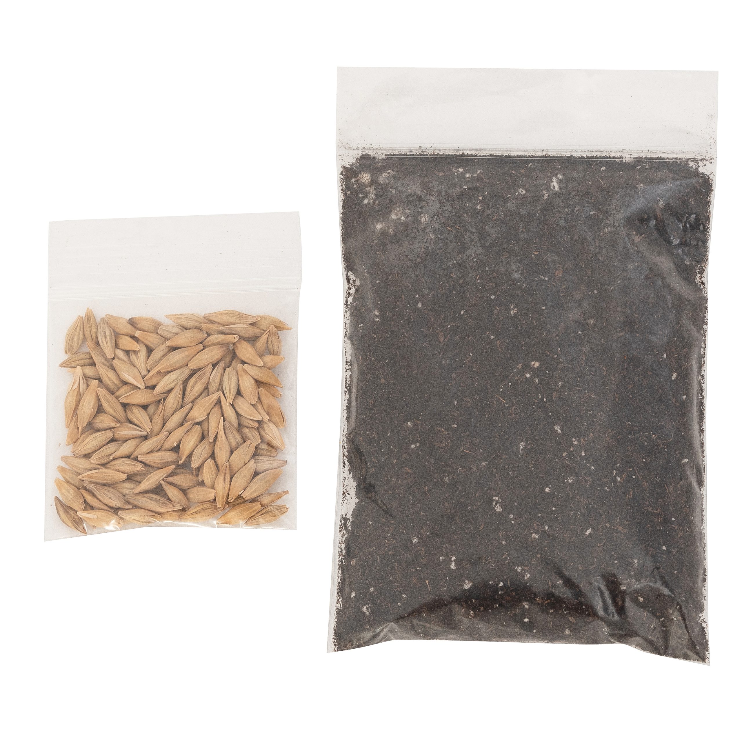 Cat Grass Set