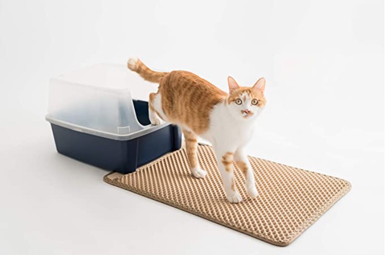 Katzenstreumatte - Beige