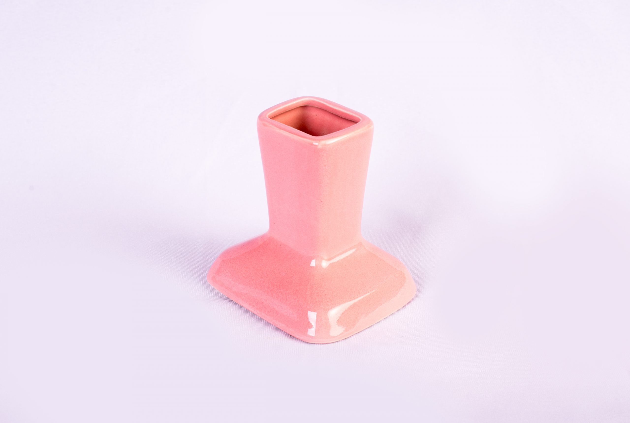 Katzengrasvase + Katzengrasssamen + Erde - Pink