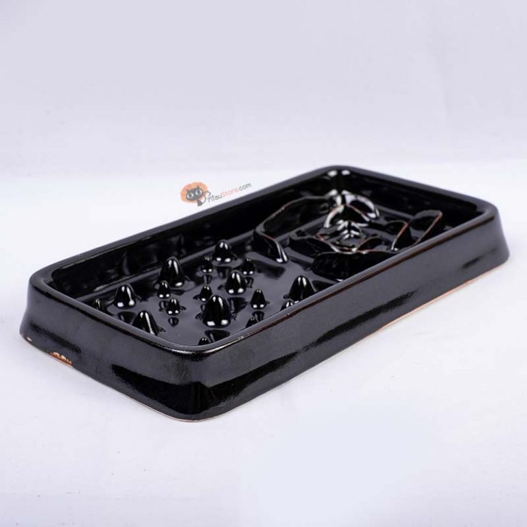DCC_3583 (1)